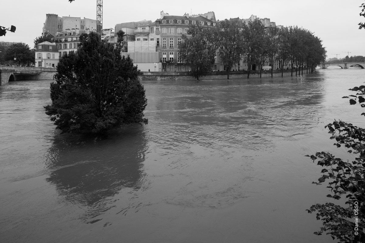 Paris, crue de la Seine - juin 2016 - Vue du Quai des Célestins, le Quai d'Anjou.